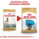 Image de deux sacs de nourriture pour chiens Royal Canin côte à côte, étiquetés "Junior" et "Puppy" pour les Bergers Allemands, avec une note sur un nouveau look et une nouvelle formule.