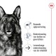 Hond afbeelding met tekst: "Gezonde spijsvertering," "Bot- en gewrichtsondersteuning," "Levenslange vitaliteitssteun."