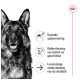 Hond afbeelding met tekst: "Gezonde spijsvertering," "Bot- en gewrichtsondersteuning," "Levenslange vitaliteitssteun."