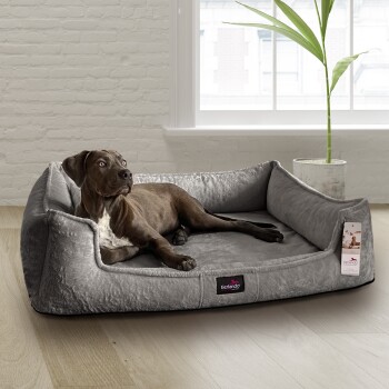 Ein brauner Hund liegt auf einem grauen Haustierbett in einem hellen Raum mit einer Pflanze und einem Fenster, mit einem Etikett, das "tierlando" liest.