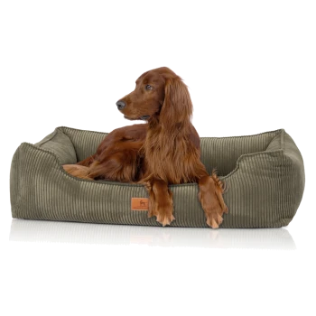 Ein brauner Irish Setter Hund, der bequem in einem grünen Cord-Haustierbett mit einem Lederschild, das "KNUFFELMUZ" liest, entspannt.