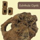 Natürliches hohles Holz-Terrarienversteck (große Wurzel) mit drei eingesetzten kleinen Log-Verstecken; sichtbarer Text 'Echtholz Optik'