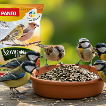Kleinvögel fressen aus einer Terrakottaschale mit Sonnenblumenkernen; im Hintergrund ein Futtersack mit der Aufschrift PANTO und 'Sonnenblumenkerne'.