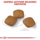 Relax Care Medium 10 kg