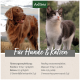 Ein Golden Retriever und eine schwarz-weiße Katze mit dem Text: "Für Hunde & Katzen" und Fütterungsempfehlungen für beide.