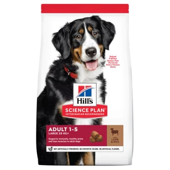 Science Plan Adult Large Breed Lam en rijst 14 kg Hondenvoerzak met een Berner Sennenhond, gelabeld "Hill's Science Plan," voor volwassen grote honden, met lam en rijst, 25 kg.