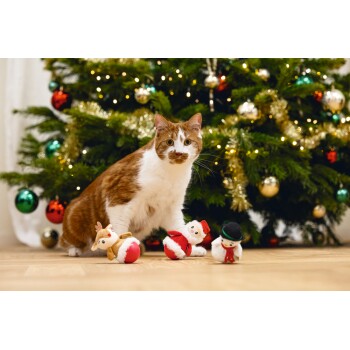 Orange and white cat sitting in front of a decorated Christmas tree with three holiday plush toys on the floor.