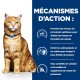 Chat avec un collier bleu, avec un texte sur les bienfaits pour la santé : pH urinaire optimal, antioxydants, et calcium et sodium contrôlés.