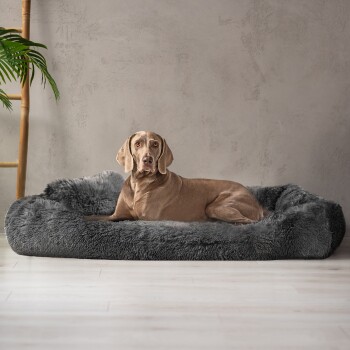 Tierlando® Premium Visco-Schaumstoff: 2cm/4cm für M+ & L+, 3cm/5cm für XL+ & XXL+ Größen.