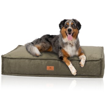 Hundekissen Lesedi aus Cord mit Handwebcharakter khaki M-L