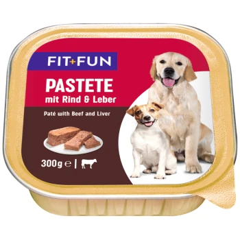 Die Verpackung des Fit+Fun-Hundefutters zeigt einen Golden Retriever und einen kleinen weißen Hund. Auf dem Etikett steht "PASTETE mit Rind & Leber," 300g.
