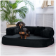 Ein schwarzer Dackel sitzt auf einem plüschigen schwarzen Haustiersofa in einem hellen Raum mit einer großen grünen Pflanze im Hintergrund.