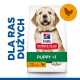 Karma dla psów Hill's Science Plan dla szczeniąt dużych ras poniżej 1 roku, z uśmiechniętym szczeniakiem golden retrievera i etykietą "z kurczakiem".