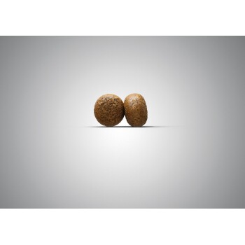 Zwei runde, braune Haustierfutterkibbles sind eng beieinander auf einem hellgrauen Hintergrund positioniert, um ihre strukturierte Oberfläche zu zeigen.