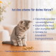 „Darum KatKare!“ Dose und Tabelle: „4+ Wochen“ mit Häkchen bei Gesundheitsvorteil, Monoprotein, Vitamin C; Wettbewerber zeigen „Nein“.