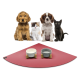Eine Gruppe von vier Haustieren, darunter zwei Hunde, eine Katze und ein schwarzes Kätzchen, sitzt vor einer roten Haustiermatte mit zwei Futternäpfen.