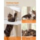 Getigerte Katze, die an einem beigen Kratzbaum mit Sisalseil und Plüschball spielt; Deutscher Text: "Endloser Spaß"; "Plüschball für freche Pfoten"