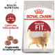 Royal Canin Regular Fit Katzenfutterbeutel mit einer verspielten orangefarbenen Katze, mit Text, der gesunde Ernährung und ein optimales Nährstoffprofil hervorhebt.