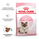 Royal Canin Mother & Babycat Trockenfutterverpackung zeigt eine Mutterkatze und ein Kätzchen, mit deutschem Text über Gesundheitsunterstützung und rehydratierbare Kroketten.