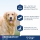 Bild eines Golden Retrievers mit Text über die Vorteile von Tierfutter: L-Carnitin für das Gewicht, Calcium & Glucosamin für die Knochen, Präbiotika für die Verdauung.