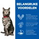Een grijze tabby kat met een rode halsband staat tegen een witte achtergrond, naast een blauw paneel met gezondheidsvoordelen.