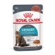 Royal Canin Urinary cat food pouch 85g with tabby cat and bowl; reads 'URINARY' and 'Helps maintain urinary tract health'.