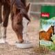 Ein braunes Pferd mit einer weißen Blässe frisst aus einer Schüssel neben einem Panto Pferdefutter Sack, der Vitamine und Omega-Fettsäuren betont.