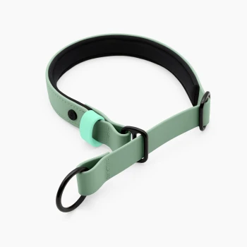 Ein mintgrünes Haustierhalsband mit schwarzer Polsterung und verstellbaren Funktionen, entworfen für Komfort und Stil.