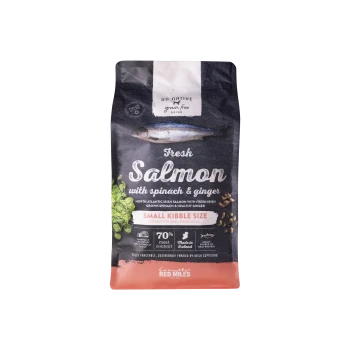 Go Native grain free dog food bag with fresh salmon, spinach, ginger, small kibble size, 70% meat content, made in Ireland.