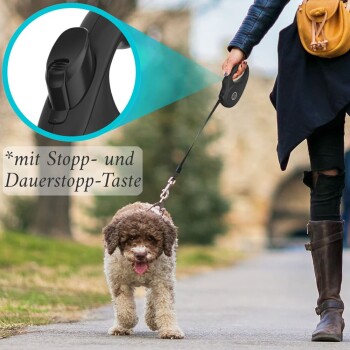 Eine Person führt einen lockigen Hund an der Leine, mit einer Nahaufnahme des Griffs, der einen Stop-Knopf und deutschen Text zeigt.