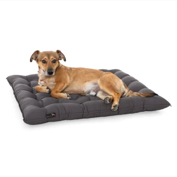 Ein entspannter brauner Hund liegt auf einem plüschigen, dunkelgrauen Hundebett mit gepolstertem Design, vor einem weißen Hintergrund.