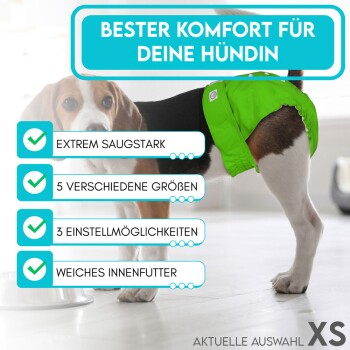 Beagle in einer grünen Windel, mit Text: "Extrem saugstark," "5 Größen," "3 Einstellmöglichkeiten," "Weiches Innenfutter."