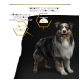 Ein stehender Hund mit verschwommenem Gesicht, begleitet von einem deutschen Text, der eine gesunde Gewichtskontrolle und -erhaltung fördert.