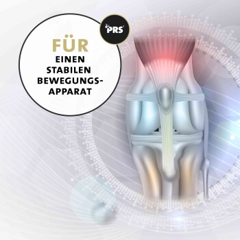 Illustration eines menschlichen Kniegelenks mit hervorgehobenen Bändern, begleitet von dem Text "FÜR EINEN STABILEN BEWEGUNGS-APPARAT" in einem kreisförmigen Design.