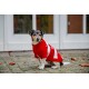 Kleiner Hund trägt einen rot-weiß gestreiften Pullover mit Schneeflockenmotiven und sitzt auf Steinpflaster vor weißen Türen