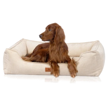 Ein brauner Irish Setter Hund, der in einem plüschigen, cremefarbenen Haustierbett mit gerippter Textur und einem kleinen Logo-Tag entspannt.