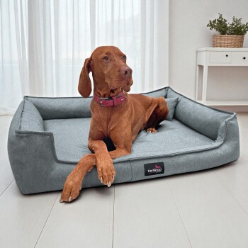 Brauner Hund mit rosa Halsband liegt auf einem grauen Tierlando-Tierbett in einem hellen Raum mit weißen Vorhängen.