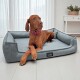 Brauner Hund mit rosa Halsband liegt auf einem grauen Tierlando-Tierbett in einem hellen Raum mit weißen Vorhängen.