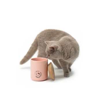 Eine hellgraue Katze schnüffelt neugierig an einem rosa Behälter mit einem Holzdeckel, beschriftet mit "LUCY BALU - HELLO KITT."