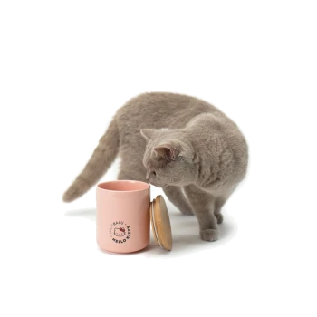 Eine hellgraue Katze schnüffelt neugierig an einem rosa Behälter mit einem Holzdeckel, beschriftet mit "LUCY BALU - HELLO KITT."