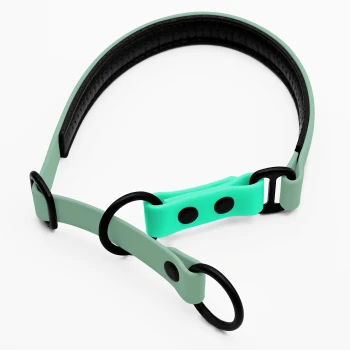 Zugstopp Halsband Sage S Ein mintgrüner Haustierhalsband mit schwarzen Akzenten und verstellbaren Funktionen, entworfen für Komfort und Stil.