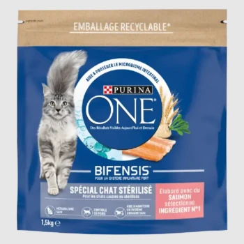 Sac de nourriture pour chat Purina ONE présentant un chat tigré gris, étiqueté "BIFENSIS" pour le soutien immunitaire, avec du saumon comme ingrédient principal.