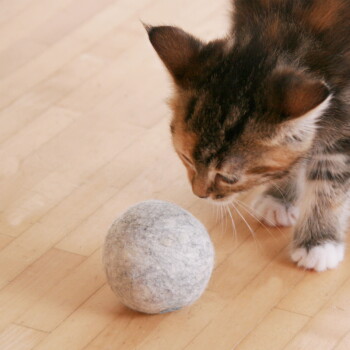 Ein schwarzer Beutel mit Kordelzug mit der Aufschrift "LUCY BALU" enthält ein braunes Paket mit der Aufschrift "Catnip" und einen grauen Filzball-Spielzeug.