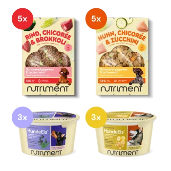 Fünferpack Rind, Chicorée & Brokkoli Hundefutter und Huhn, Chicorée & Zucchini Hundefutter sowie Dreierpack Blaubeer- und Bananen-Erdnuss-Hunde-Eiscremes.