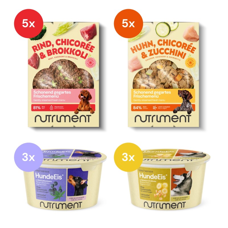 Nutriment Frischemenü Rind & Huhn 10x400g mit Hundeeis 6x90ml