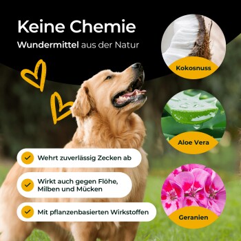 Ein Golden Retriever im Freien mit Text, der natürliche Haustierpflegeprodukte bewirbt, und Zutaten wie Kokosnuss, Aloe Vera und Geranien hervorhebt.