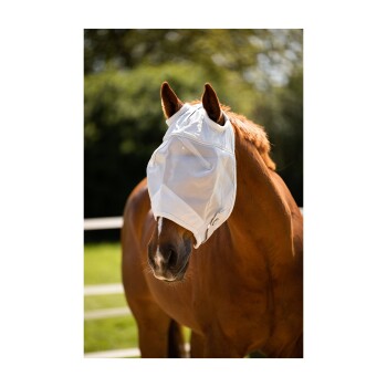 Ein braunes Pferd, das eine weiße Fliegenmaske trägt, steht in einer sonnigen Umgebung mit grünem Gras und einem Zaun im Hintergrund.