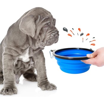 Ein grauer Welpe sitzt neben einer zusammenklappbaren blauen Haustierschüssel, die von einer Hand gehalten wird, mit bunten Spritzern, die darum herum illustriert sind.