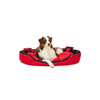 Ein braun-weißer Hund, der auf einem rot-schwarzen Haustierbett entspannt liegt und entspannt und bequem aussieht.