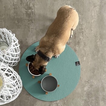 Ein tanfarbener Hund mit einem schwarzen Halsband frisst aus einer weißen Schüssel, die mit Trockenfutter gefüllt ist, auf einem runden türkisfarbenen Platz, neben einer leeren Wasserschüssel.